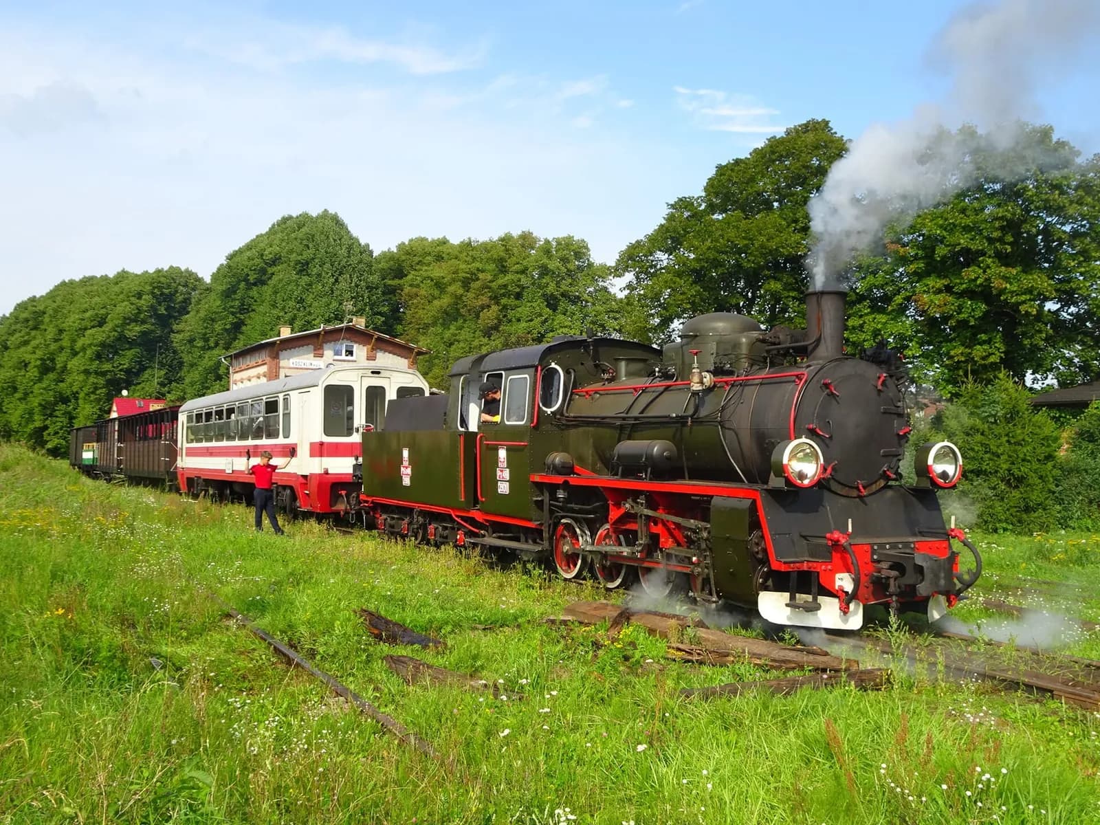 A black and red vintage steam locomotive pulling passenger cars along a track through a grassy, tree-lined landscape under a blue sky.